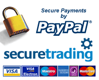 PayPal Payments Now Taken